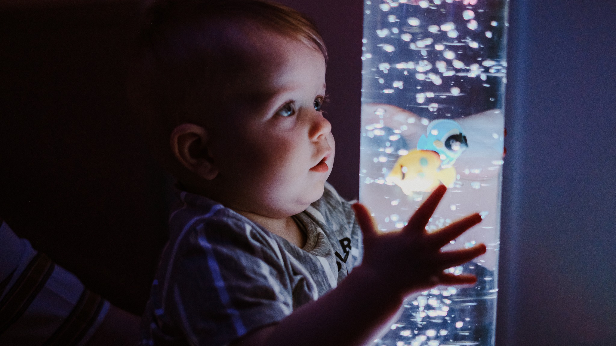 Baby & Toddler Sensory